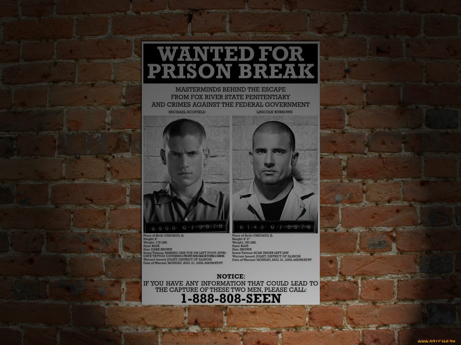 , , prison, break